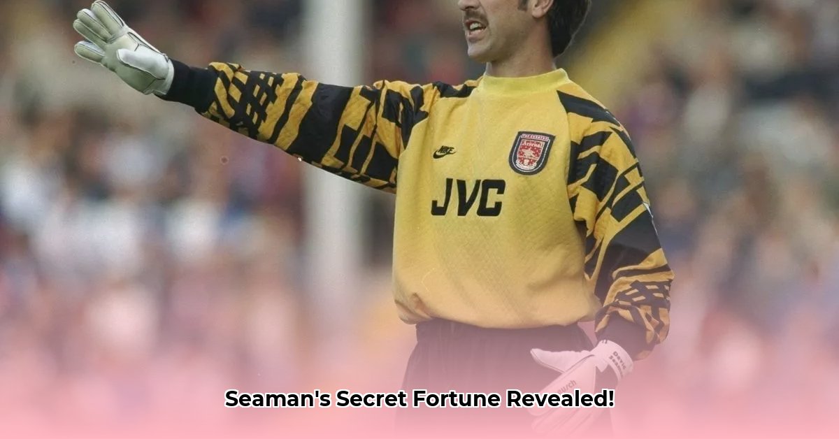 david-seaman-net-worth